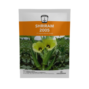 Shriram 2005